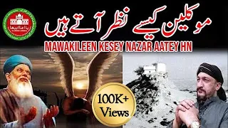 Download Mawakileen kesey nazar aatey hn | Wazaif | Angel | Amil | Islam | Pari | Desi | Jin | Sura | UFO | MP3