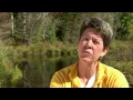 Documentary The fascinating story of beavers Leave it to Beavers english subtitles
