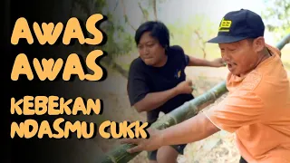 membantu pak mbut jadi semrawut wts eps 5