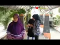 Download Lagu Lampung Kapan Mulang ll cipt Albi Erlangga ll Nopha Alivia #dutlampung#orkeslampung#klasiklampung