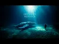 Download Lagu Healing songs of Whales \u0026 Dolphins | Deep Meditation Music for Harmony of Inner Peace