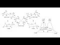 Conformation How Does Cyclohexane Convert Between Chair Conformations