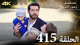 الحلقة 415 مسلسل زهور الدم مدبلج بالعربية Kan Çiçekleri جودة 4K 