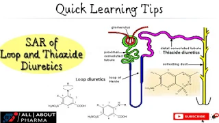 Download #pharmacy, medicinalchemistry, #allaboutpharma  Sar of Thiazide and Loop Diuretics MP3