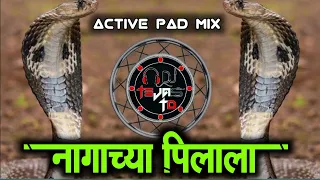 kallulach pani nag panchami special dj tejas td