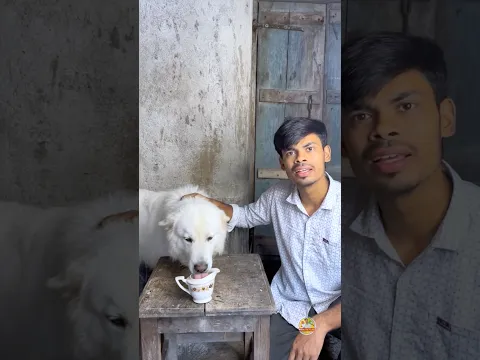 Dog Part 2 …!@zackdfilms