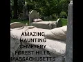 Haunting Forest Hills Cemetery