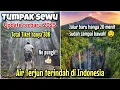 Lagu JALUR BARU TUMPAK SEWU HANYA 20 MENIT SUDAH SAMPAI! TUMPAK SEWU LUMAJANG - AIR TERJUN TERINDAH!