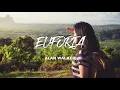 Lagu Euforia - Alan Walker ( New Song 2024 )