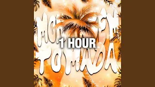 1 HOUR MXZI MONTAGEM TOMADA Slowed 