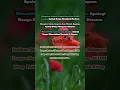 Download Lagu QUOTES DUNIA PASTI BERPUTAR || STORY WHATSAPP ISLAMI || MOTIVASI HIDUP ISLAMI #quotesislami #quotes