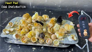 Heat pad Egg incubator - Hatch Chicks at home By using heat Pad