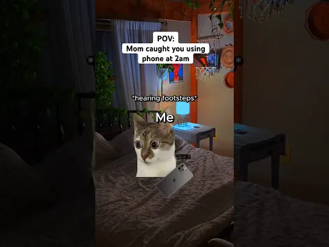 CAT MEMES 😺 Using phone at 2am 💀