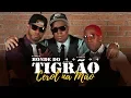 Download Lagu BONDE DO TIGRÃO - CEROL NA MÃO (REMIX)