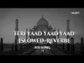 Lagu Teri Yaad Yaad Yaad Bas Yaad Rah Jaati hai|[slowed+Reverb] SK Lofi #slowedreverb #90s