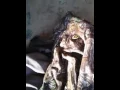Southern Hunt-N-Fish Review ScentBlocker Outfitter Jacket and Pants