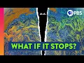 Is Earth s Most Important Ocean Current Doomed