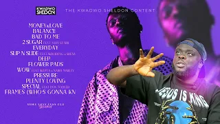 wizkid releases track list for his upcoming album mlle and there s no travis scott feature 