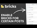 How to Use Bricks Builder on Select Blog Posts