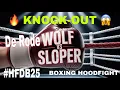 Download Lagu KNOCK-OUT 😱 Sloper VS De Rode Wolf - #Boxing