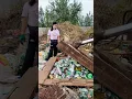 Environmental warriors in action turning trash into gold with innovative recycling ideas