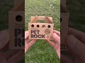 Download Lagu Are Pet Rocks A Scam?