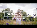 Luke Bergs - Summertime (Billion Sounds No Copyright Music)
