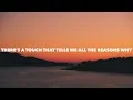Frank Walker - What Love Feels Like feat. Nathan Nicholson (Maxi Meraki Remix) (Lyrics)