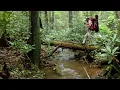 Through the Woods Movie Trailer - The Okee Dokee Brothers