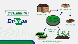 How to set up a Sisteminha (and keep it working)