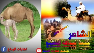 الشاعر محمد عبد الله الجضيع 