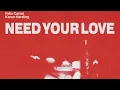 Felix Cartal & Karen Harding - Need Your Love
