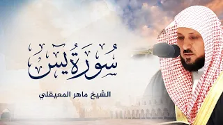 Surat Yasin Maher Al Muaiqly FULL SURAH | سورة يس - الشيخ ماهر المعيقلي
