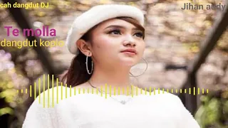 Download TE MOLLA versi dangdut koplo terbaru jihan audy MP3