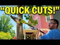 Ryobi 18V Pole Saw - The Game Changer Homeowners Need