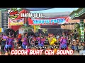 Download Lagu SHAFIRA AUDIO...FULL TARI PERANG CELENG SRENGGI JARANAN NEW SRIJOYO PUTRO Live Nyadran Tempel 2023