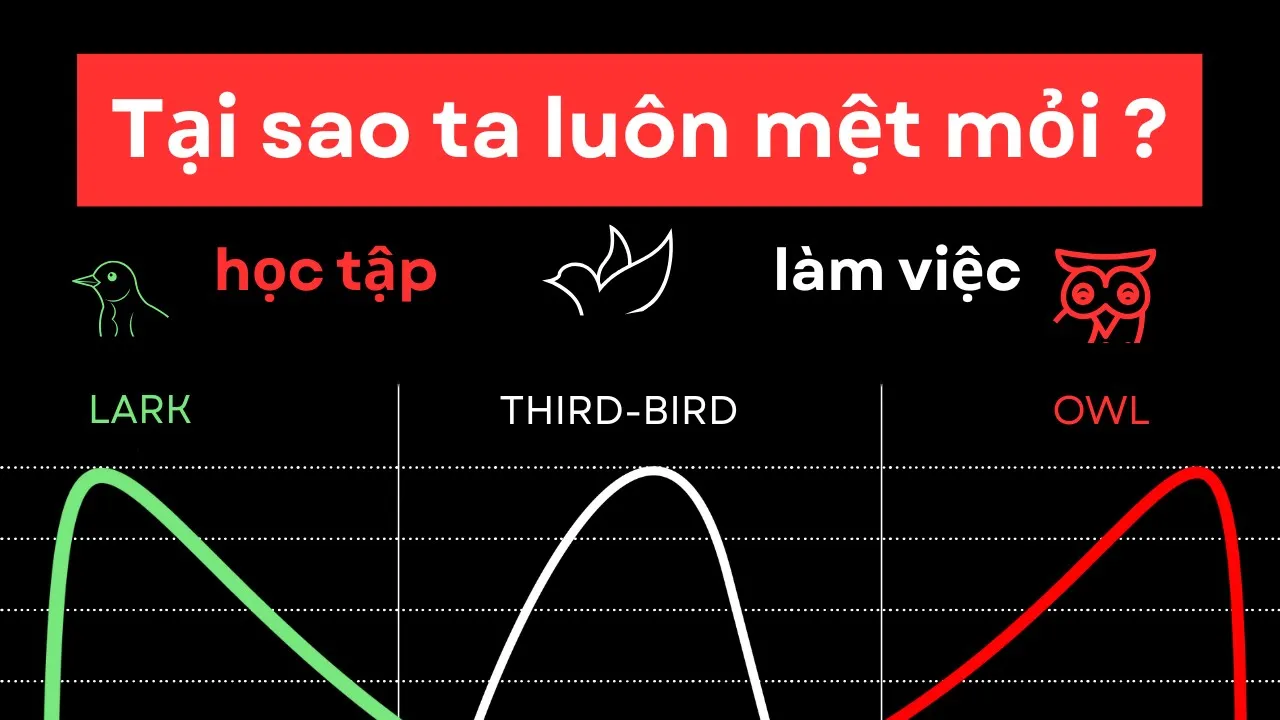 Outline Video Tại sao ta luôn mệt mỏi và buồn ngủ khi học tập hay làm việc?| Skill shift