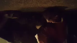 dog pile time 