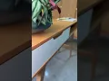 Vídeo do produto