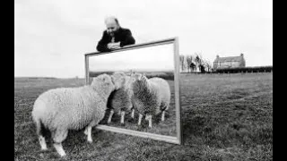 Object Cloning in Java