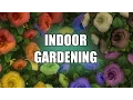 FFXIV Flower Pots Indoor Gardening Guide