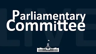 Inquiry Into The Australian Energy Market | 29/10/2024