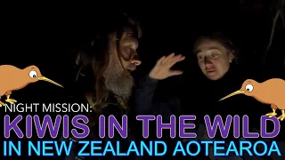 Kiwis, Moreporks and Birdsong! A Night Mission to See the Illusive KIWI Birds in New Zealand
