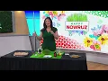 Download Lagu Happy Nowruz! Explaining the traditions surrounding the Persian New Year