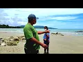 Download Lagu Jaring lepas pantai di passo pante Ambon Maluku.