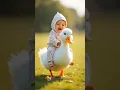 Cutest Baby Laughs and Reactions