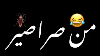 انا بخاف من صراصير اغاني شاشه سوداء حالات واتساب بدون حقوق ترند تيك توك اغاني ترند عراقيه 2025 
