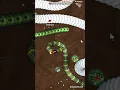 Little Big Snake Crazy Rebel Hunt