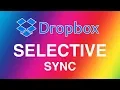 Dropbox selective sync sync only folders you need