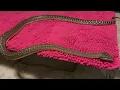 Reading Your Snake s Body Language and other things that will make your life and theirs easier